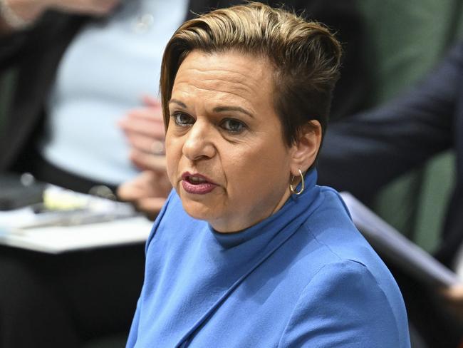 CANBERRA, AUSTRALIA  - NewsWire Photos - November 20, 2024: Australia's Communications Minister, Michelle Rowland during Question Time at Parliament House in Canberra. Picture: NewsWire / Martin Ollman