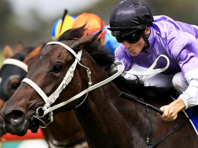 Sweet Fire ridden by James McDonald, wins race4 during Rosehill midweek races. pic Mark Evans