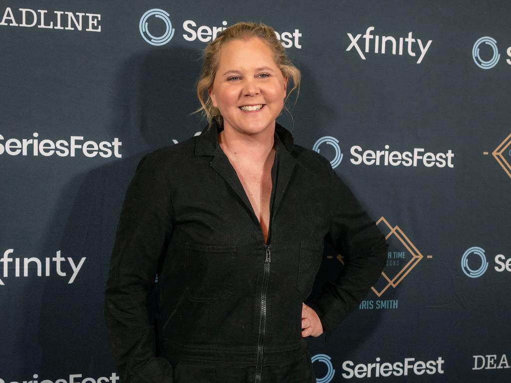 Schumer has previously mocked the Baldwins. Picture: Tom Cooper/Getty Images for SeriesFest