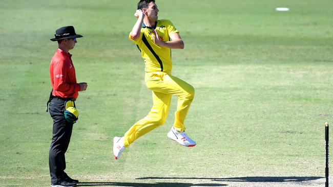 Pat Cummins claimed an early wicket but Australia found the going slow at Allan Border Field.