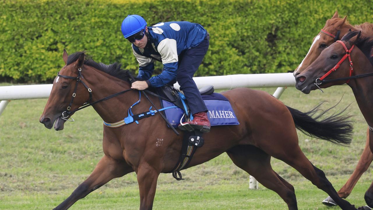 Randwick Barrier Trials