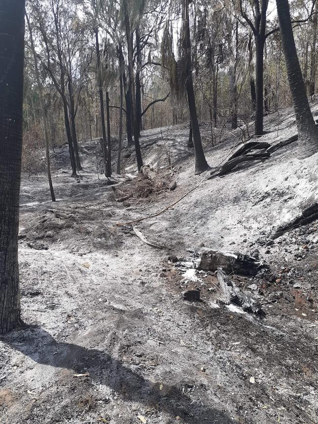 The aftermath of a fire at Widgee in early November last year. Pictures: The Palms Rural Fire Brigade