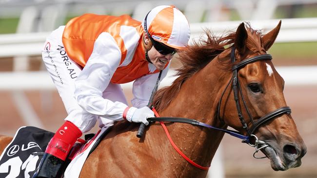 Craig Williams pilots Vow And Declare to victory in the 2019 Melbourne Cup. Picture: AAP