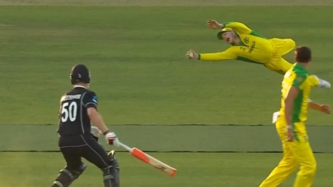 Steve Smith enters his submission for "Catch of the World Cup"