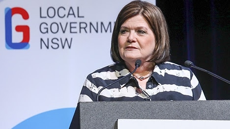 Former Minister for Local Government Shelley Hancock ordered a public inquiry into the Wingecarribee Shire Council.