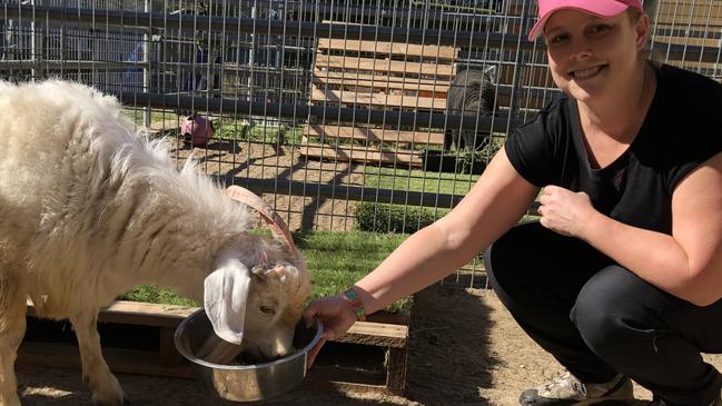 #DoSomethingDay #GiveYourBest Your local clubVolunteer Katrina with Mr Dumbledore the goat at RSPCA, Yagoona. Picture: Lawrence Machado