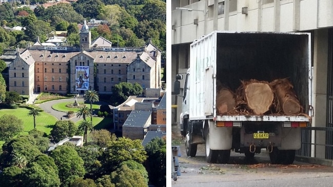 Elite private school Joeys is planning to remove a high number of mature trees, a key feature of Hunters Hill, as part of a stadium redevelopment at the corner of Luke St and Gladesville Rd.