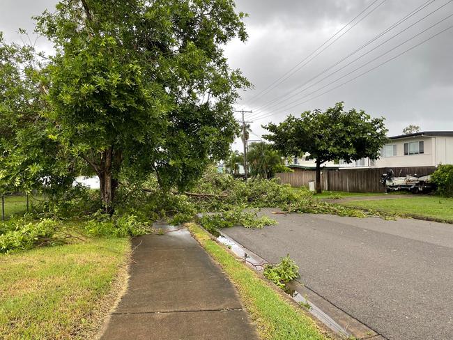 Tropical Cyclone Kirrily 2024: Trees brought down on Renecol Avenue in Rasmussen.