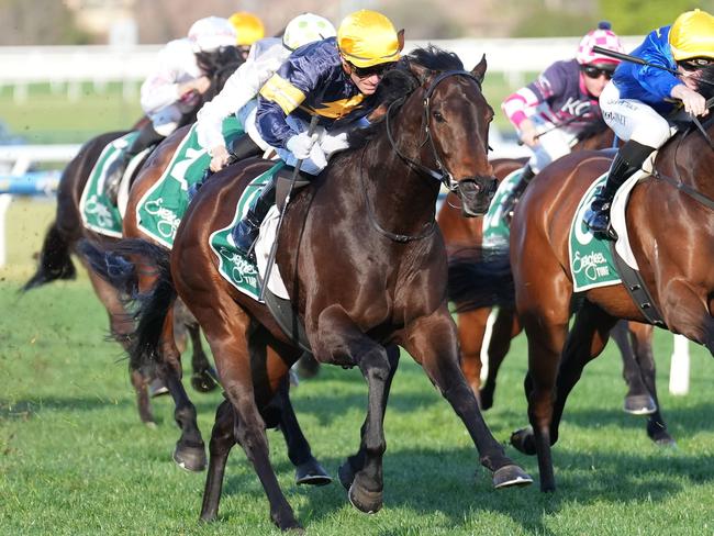 Arkansaw Kid ridden by Luke Currie wins the Evergreen Turf Regal Roller Stakes at Caulfield Racecourse on August 17, 2024 in Caulfield, Australia. (Photo by Scott Barbour/Racing Photos via Getty Images)