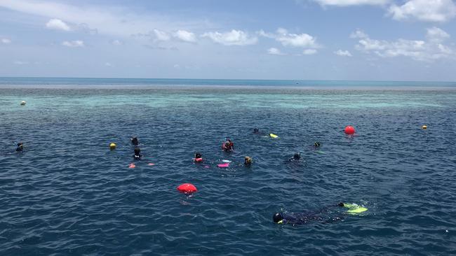 Snorkellers swim on the reef just off the edge of the pontoon. Picture: Kyle Pollard