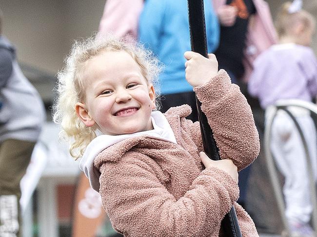 Haley Jaeger 6 on the flying fox at the Kingston playground. Picture Chris Kidd