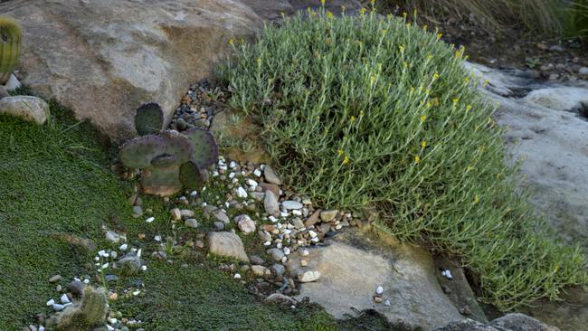 Sydney sandstone is a key material in the garden. Picture: Dan Harmon.