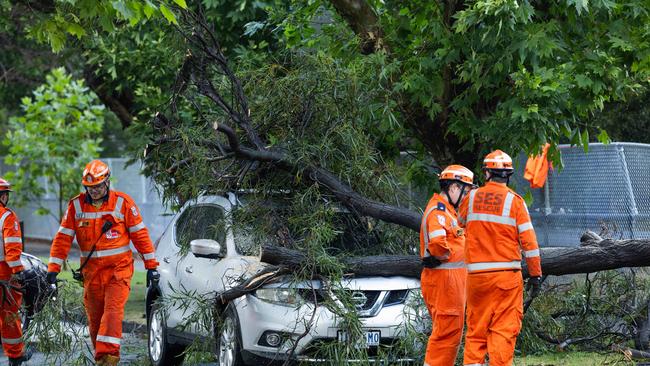 SES volunteers clear storm damage from a street in Elsternwick. Picture: Jason Edwards