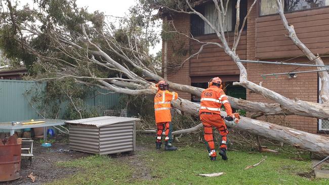 Wyong SES crews have been called to Tuggerawong where al large gum tree has fallen across two backyards causing roof and fence damage. Picture: Wyong SES