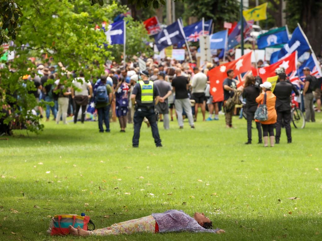 Anti-government protesters in Treasury Gardens. Picture: Ian Currie