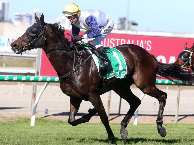 Aquis Park race day. Photo of race 2 winner SOLSPEIL. Jockey is Glen Colless. Trainer is Marcus Wilson. Photo by Richard Gosling