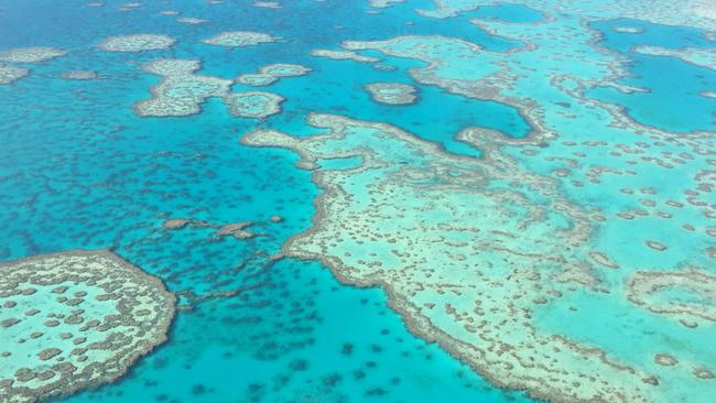 The beautful reef. Picture: Great Barrier Reef Foundation