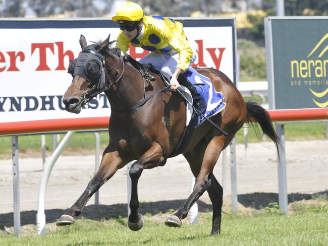 Luke Dittman riding Beaudacious to victory in the Ramsden Lawyers Anton Richardson's QTIS 3YO Class 1 HCP (1400m) on the Gold Coast on Saturday, October 8. Picture credit: Jessica Hawkins, Trackside Photography.