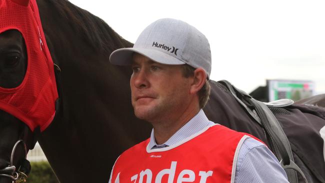 Trainer Brett Robb believes Simply Xtravagant can make it five wins on end in the Cotton Cup at Warren on Sunday. Picture: Grant Guy