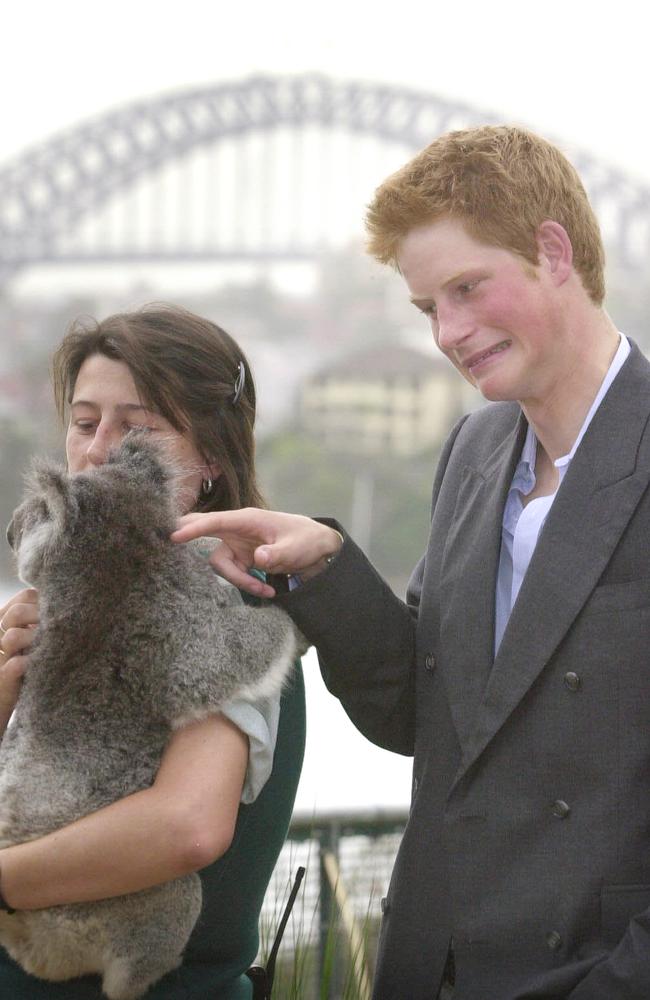 Prince Harry met Lowana the Koala and keeper, Annette Gifford, 15 years ago. Many of Lowana’s wild friends and family are unlikely to survive. Picture: Erica Harrison