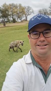 Hyena stalks man on golf course