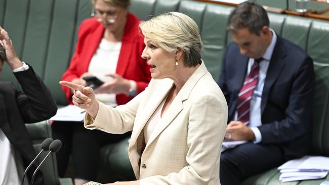 Environment Minister Tanya Plibersek during Question Time at Parliament House in Canberra. Picture: Martin Ollman