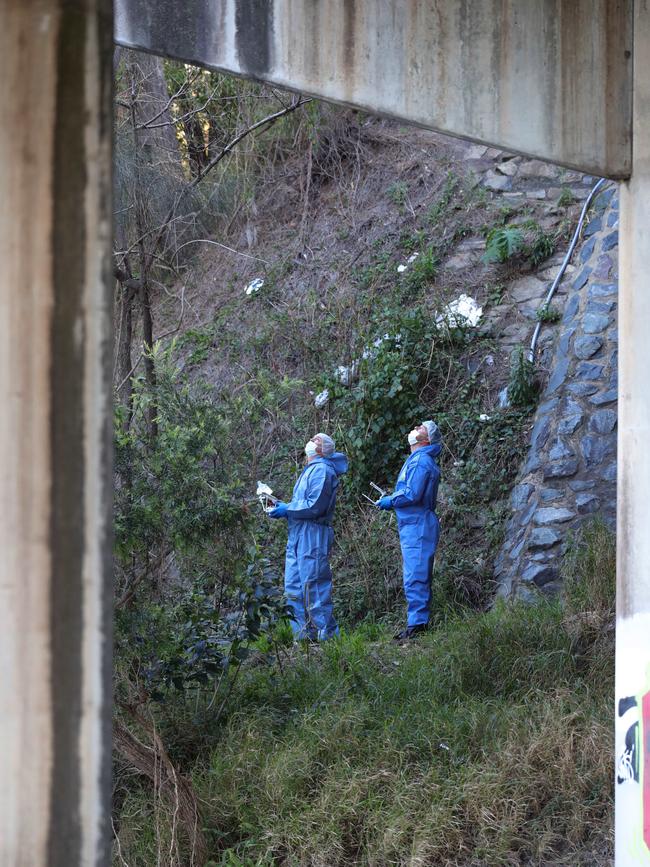 Police searched under the bridge at Tallebudgera. Picture: Glenn Hampson