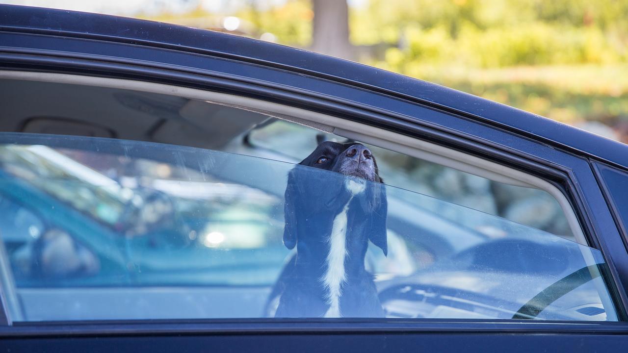 Leaving the window down can result in a fine.