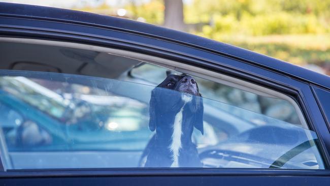 Leaving the window down can result in a fine.