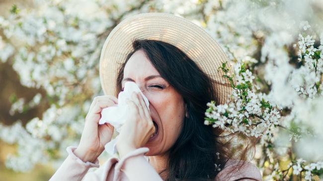 Hay fever, or allergic rhinitis, is a common allergic condition that can be seasonal or occur year-round.