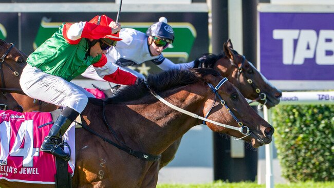 Overpass defeats Amelia's Jewel in a remarkable photo finish to the inaugural The Quokka Picture: Western Racepix
