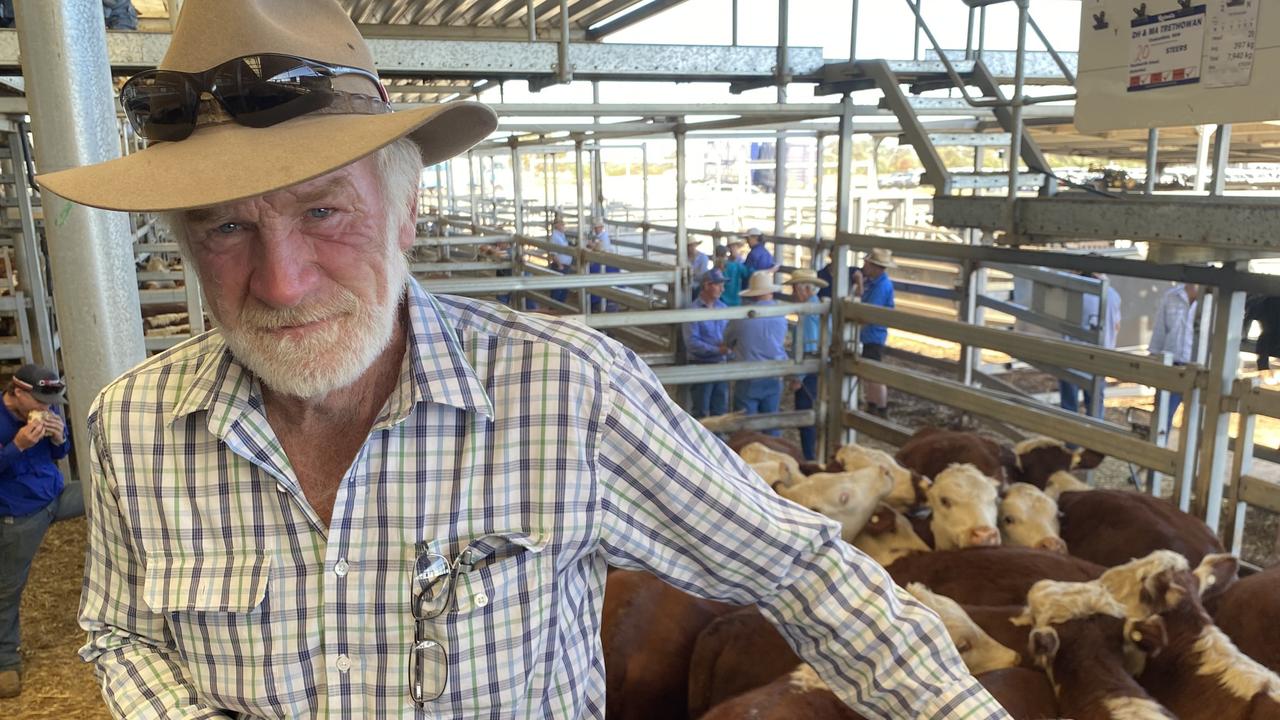 Weaner calf sales 2023: Wodonga, Wangaratta, Mortlake, Yea | The Weekly ...