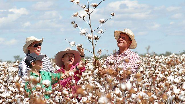 Cotton farmers 110411