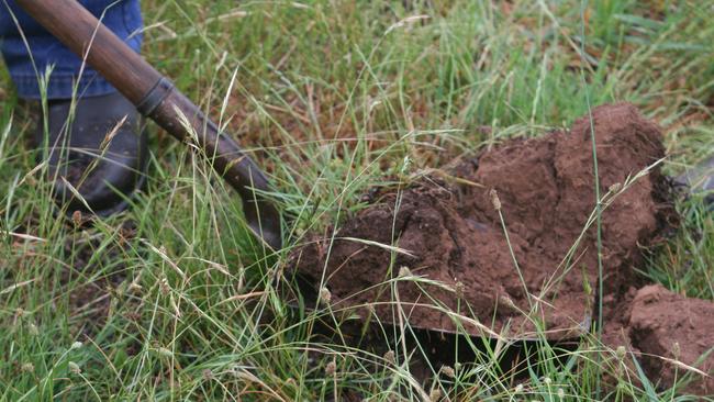 New research has found crop producers can’t make money from soil carbon projects at current carbon prices.