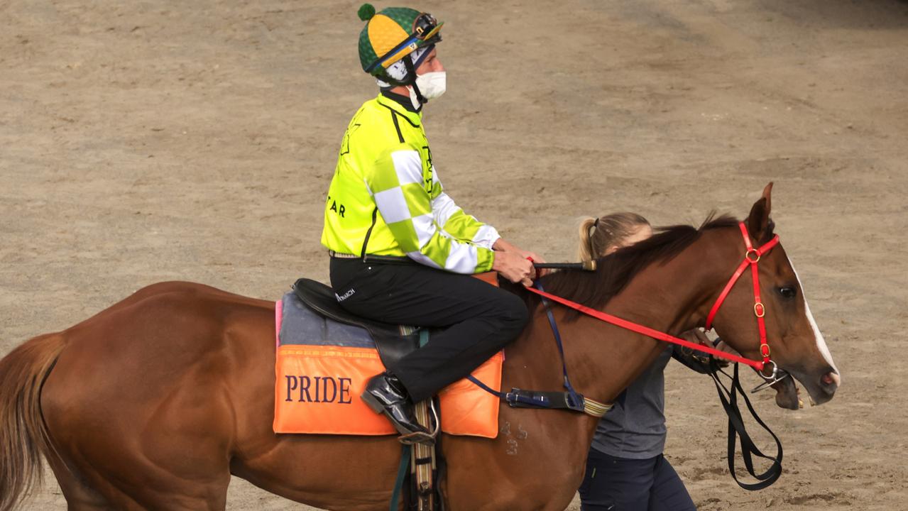 Randwick Barrier Trials