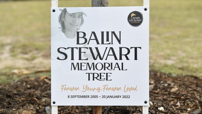 Memorial tree for Balin Stewart. Picture: Patrick Woods.