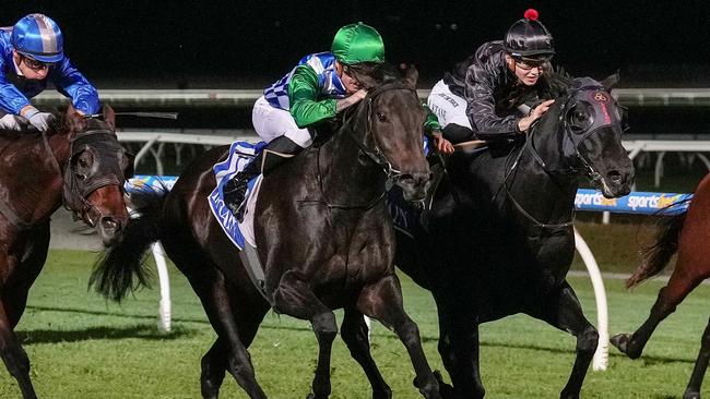 Strong jumpouts have primed Grid Girl for a first-up win at Wednesday’s Geelong meeting. Picture: Racing Photos via Getty Images