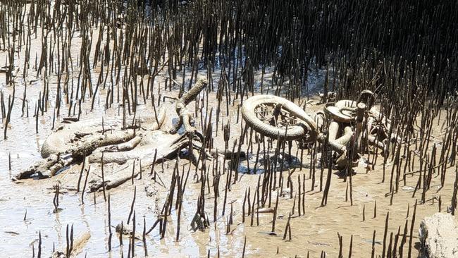 Bicycles which had been dumped in Cabbage Tree Creek, Shorncliffe. Picture: Ocean Crusaders