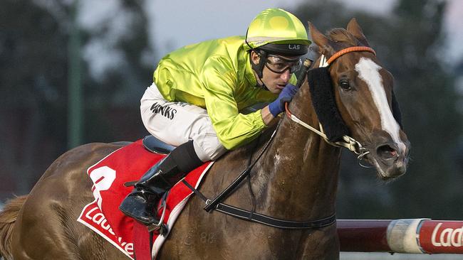 Sprightly Lass has yet to taste defeat in three starts.
