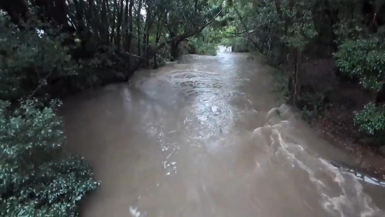 Flash flooding hits Brisbane as storm dumps 60mm in an hour