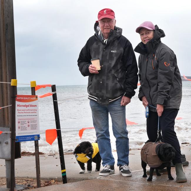 Dogs Molly and Maisy with owners Jennie Smart and Phill Birkett say they have suffered respiratory illnesses from the algal bloom and now avoid the beach. Picture: Dean Martin
