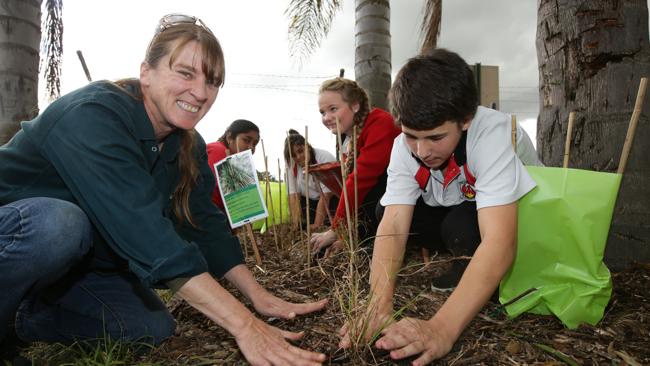 Greening Australia create bush tucker garden at Plumpton High School to ...
