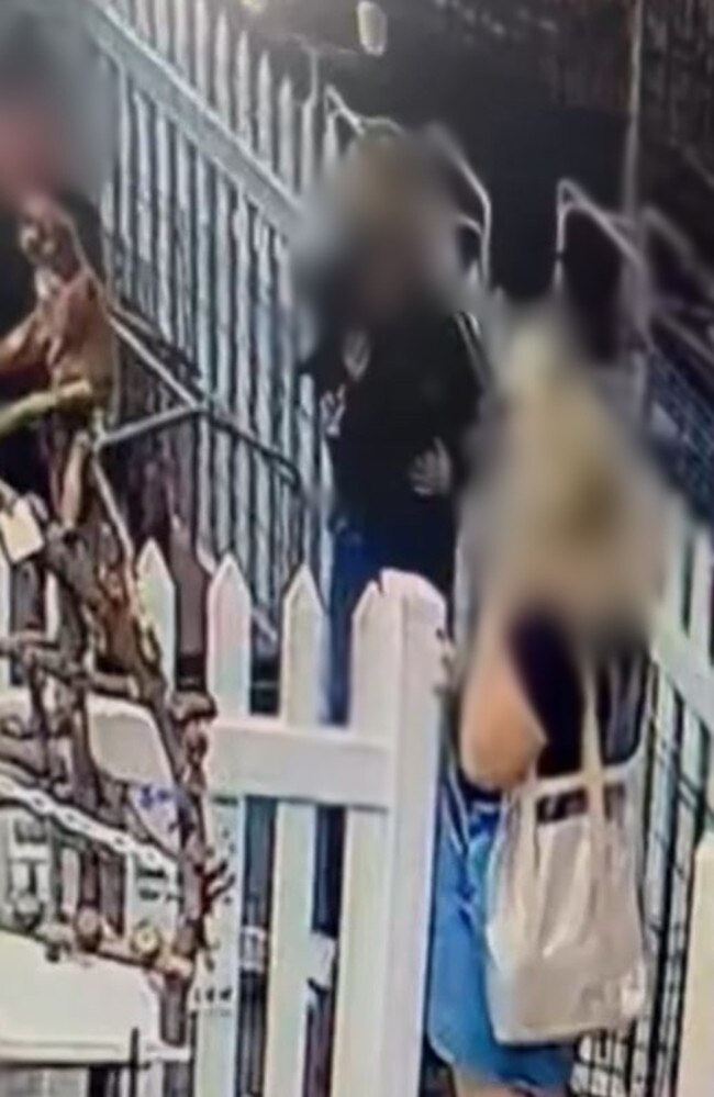 Logan family caught on video stealing the puppy. Picture: CCTV Footage from Waterford Feed and Pet Barn