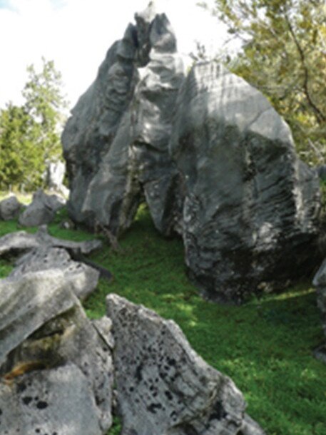 The Abbey caves is a popular caving spot in Whangarei, NZ. Picture; Whangarei District Council.