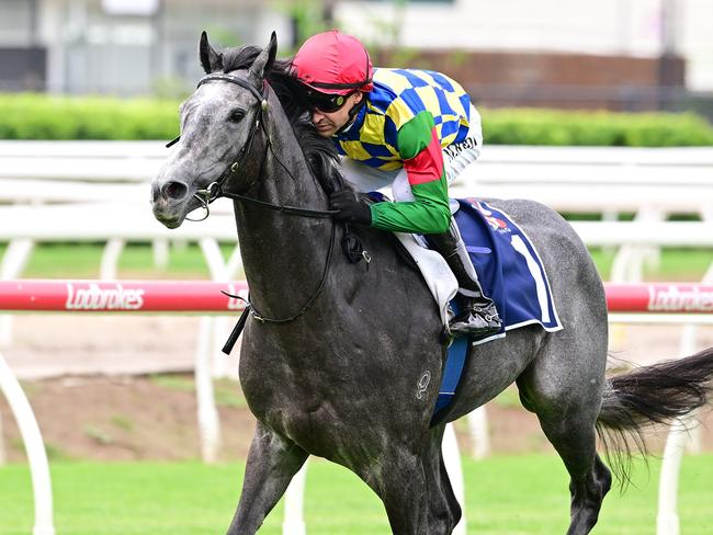 Boom Queensland two-year-old Can't Recall This wins in explosive fashion at Eagle Farm for jockey Michael Rodd and trainer Stuart Kendrick. Picture: Grant Peters, Trackside Photography.,