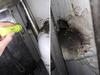 ‘Black rodent grease’, faeces found at popular Brisbane eatery