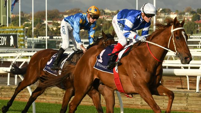 Gytrash peel off good sectionals in the Everest Series Heath at Caulfield. Picture: Getty Images