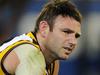 We don’t have a gambling problem: Hawks