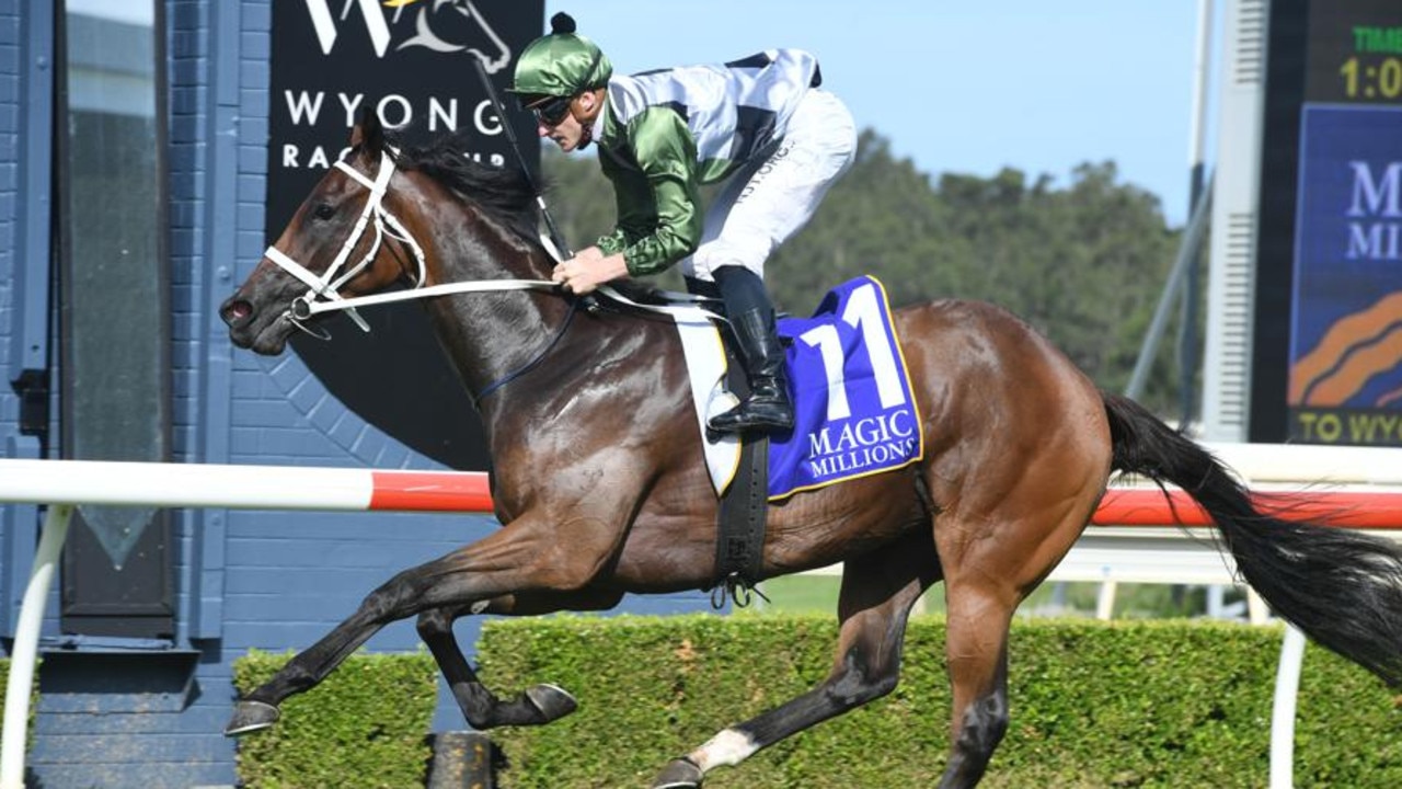 She's All Class winning Wyong Magic Millions. Picture: Steve Hart Photographics