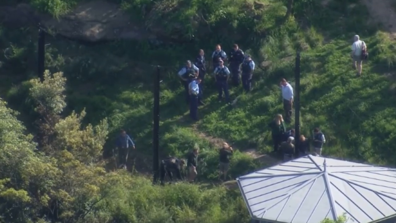 ‘Fence issue’ to blame for Taronga Zoo lion escape